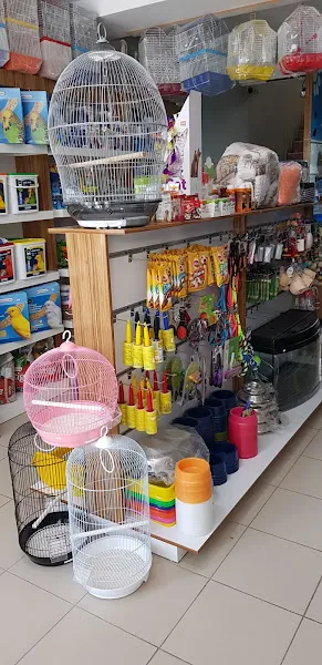 Pet Balık Marketim foto 2