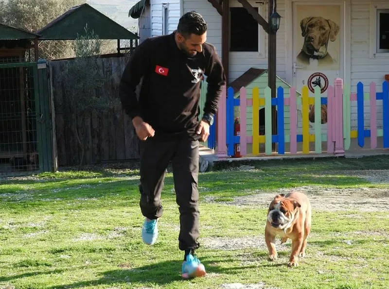 Hatay Köpek Eğitimi ve Pansiyon Dogwartss foto 2