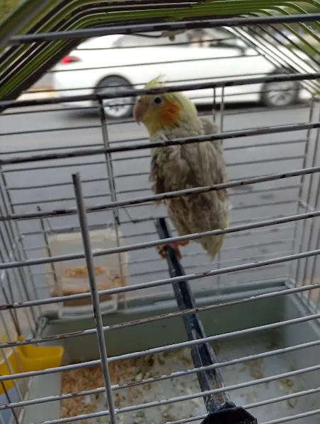 Atabey Pet Shop foto 1