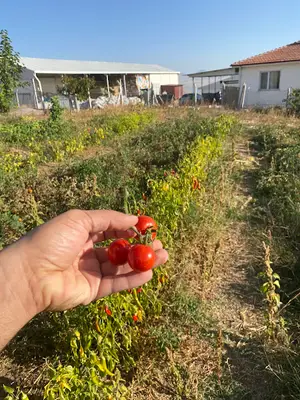 Ekici Veteriner Kliniği