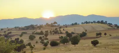 Osmanlı Hayvancılık ve Tarim
