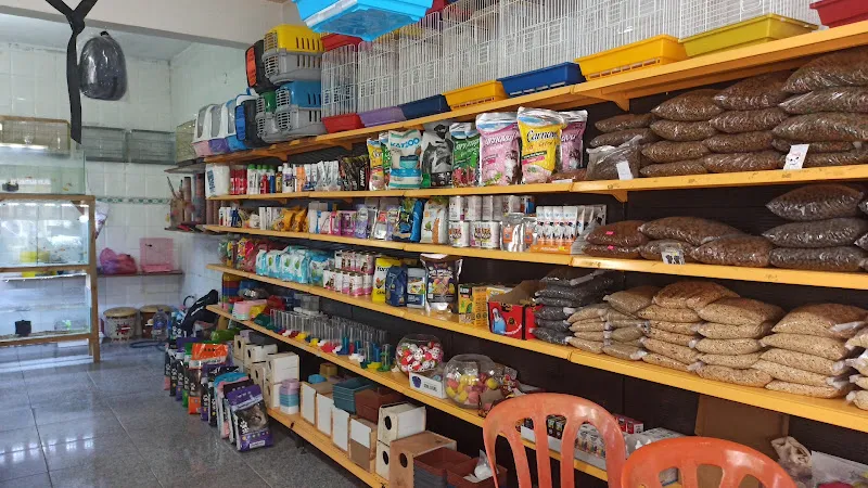 Belya Petshop foto 2