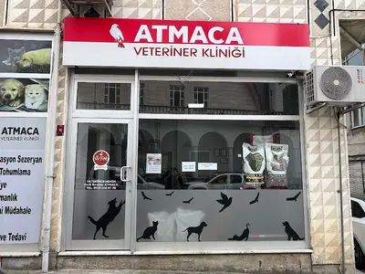 Alaatin Algan Veteriner Kliniği fotoğrafı