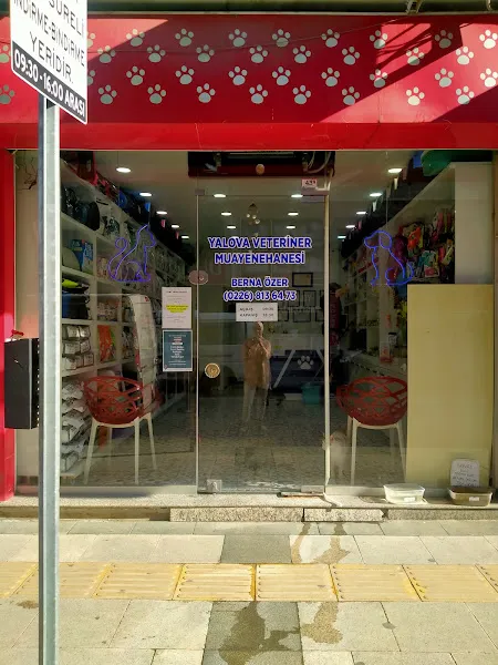 Yalova Veteriner Kliniği foto 2
