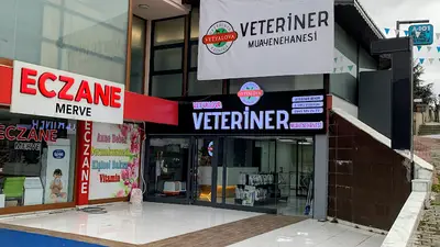 VETYALOVA Veteriner Kliniği