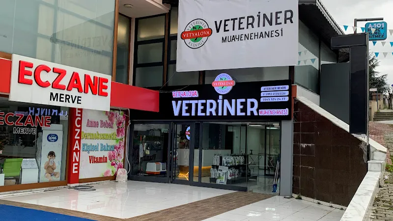 VETYALOVA Veteriner Kliniği foto 1