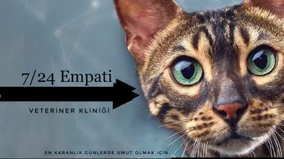 Çerkezköy Empati Veteriner Kliniği