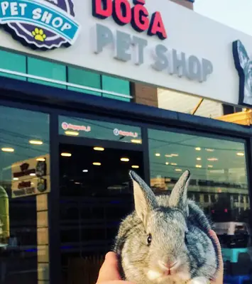 Sakarya Doğa Petshop 5 Serdivan