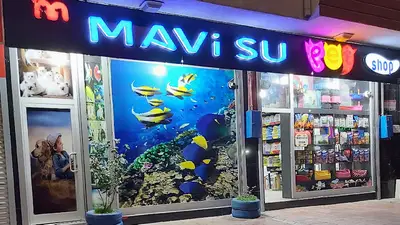 VAN PETSHOP MAVİ SU PETSHOP ve AKVARYUM