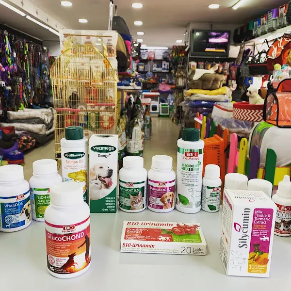 Antalya Liman Petshop foto 2
