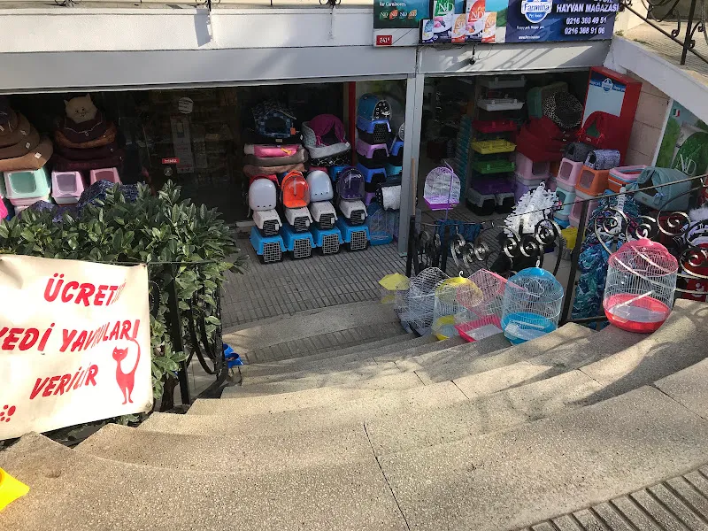 Bağdat Evcil Hayvan Mağazası Petshop & Pet Kuaför foto 2