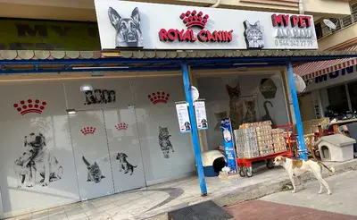 My Pet Shop