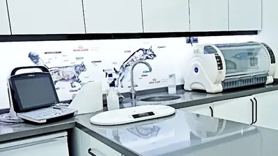 VETBEY Veteriner Kliniği
