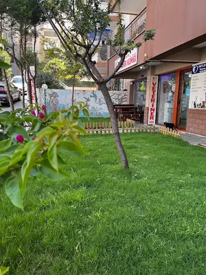 Mutlu Çalış Veteriner Kliniği / Veteriner İzmir
