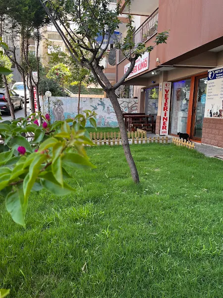 Mutlu Çalış Veteriner Kliniği / Veteriner İzmir foto 1
