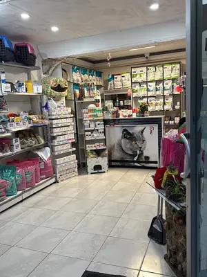 PATİLER VETERİNER KLİNİĞİ