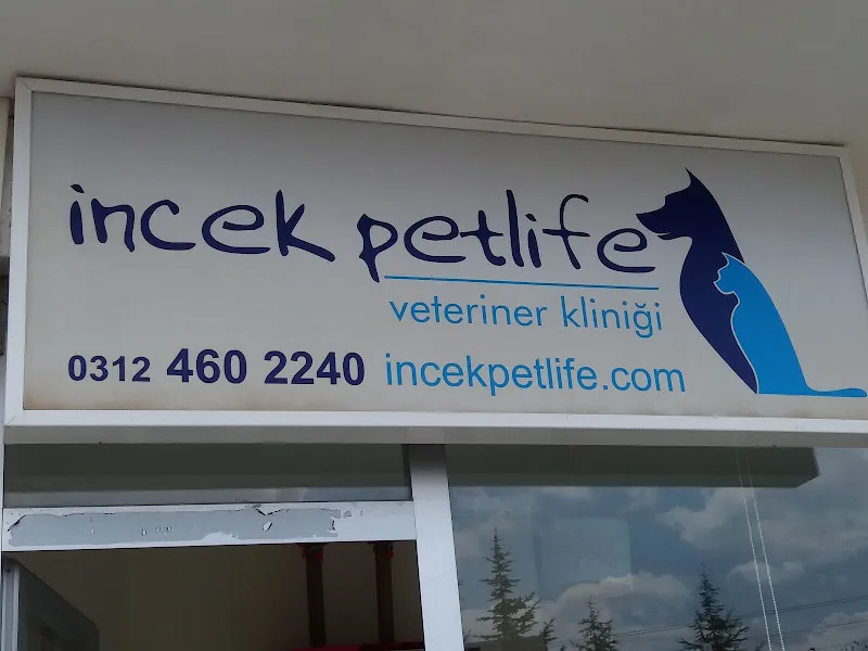İncek Petlife Veteriner Kliniği foto 2