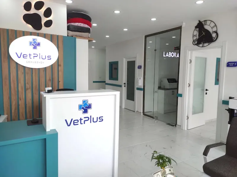Çerkezköy VetPlus Veteriner Kliniği foto 1