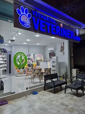 Pendik Vetmarina Veteriner Kliniği 7/24