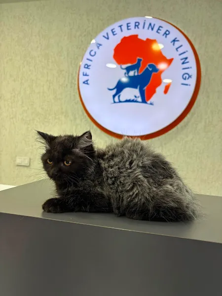 Africa Veteriner Kliniği foto 2