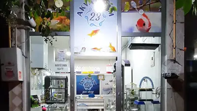 AKVARYUM 23