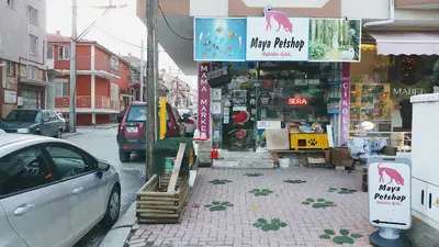 MAYA PETSHOP
