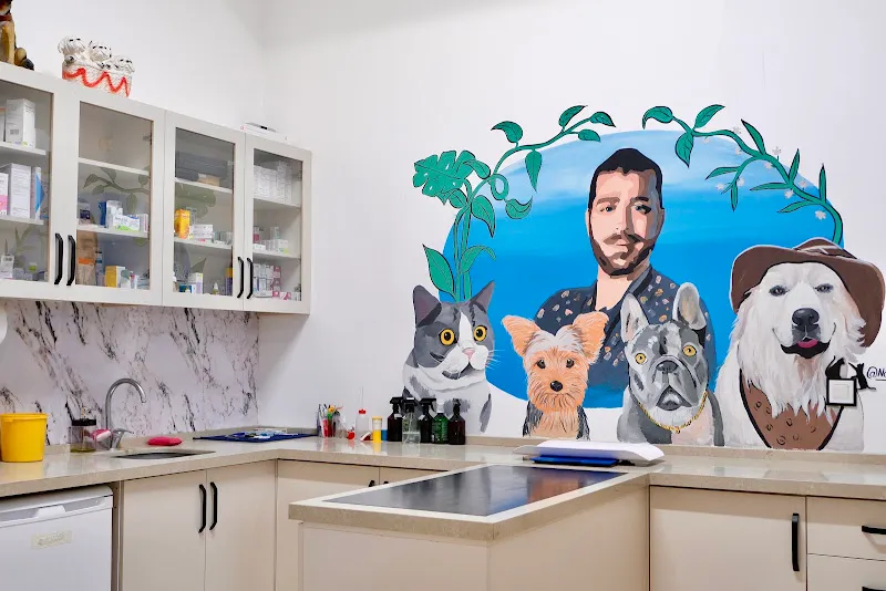 Kemerburgaz İnanoğlu Veteriner Kliniği foto 2
