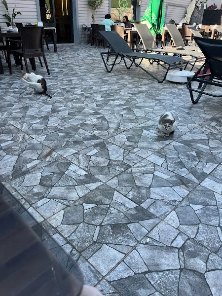 Otel Carpediem Gold Kuşadası foto 2