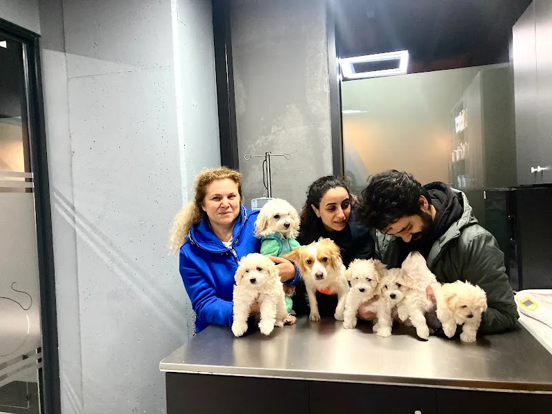 Vet Pegas Veteriner Kliniği foto 1