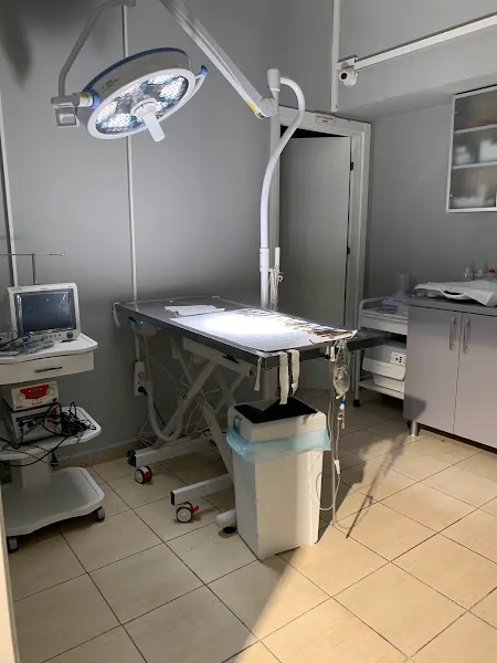 Kağıthane Veteriner Kliniği foto 2