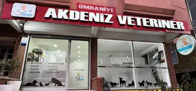 Ümraniye Akdeniz Veteriner Kliniği