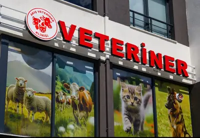 Akış Veteriner Kliniği