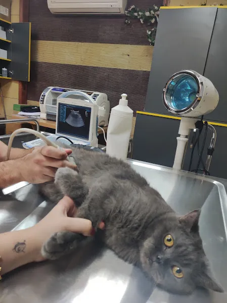 Karan Veteriner Kliniği foto 1