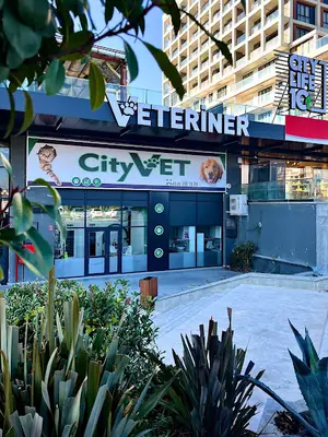 Balıkesir CityVet Veteriner Kliniği