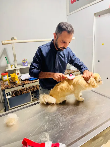 Bilge Veteriner Kliniği ERZURUM foto 2