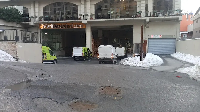 Tropik Evcil Hayvan Dünyası Ve Hayvan Ürünleri Tic. Ltd. Şti. foto 1