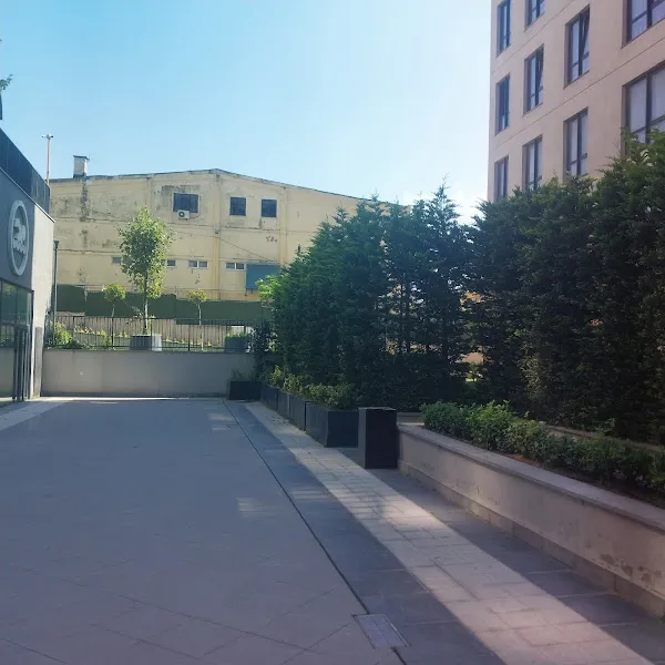 Tropik Evcil Hayvan Dünyası Ve Hayvan Ürünleri Tic. Ltd. Şti. foto 2