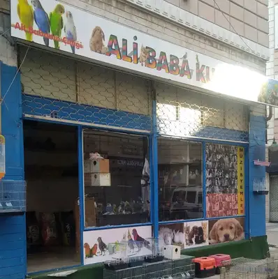 Ali Baba kus evi