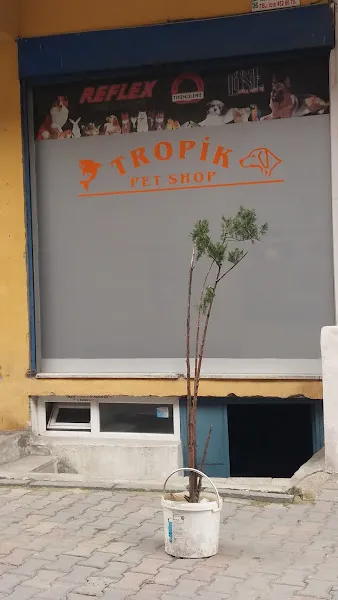 Tropik Pet Shop (okmeydanı/dörtyol) foto 2