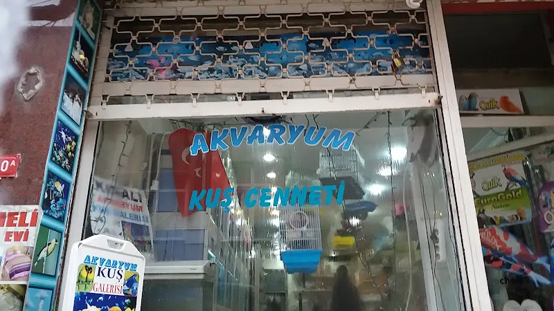 Kınalı Akvaryum Kuş Cenneti foto 2