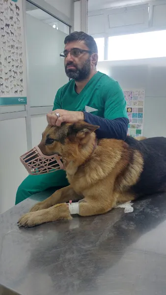 Dünya Veteriner Kliniği - Pendik foto 1