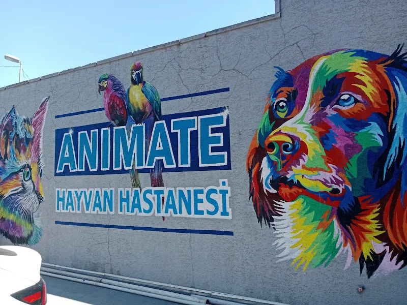 ANIMATE HAYVAN HASTANESİ foto 1