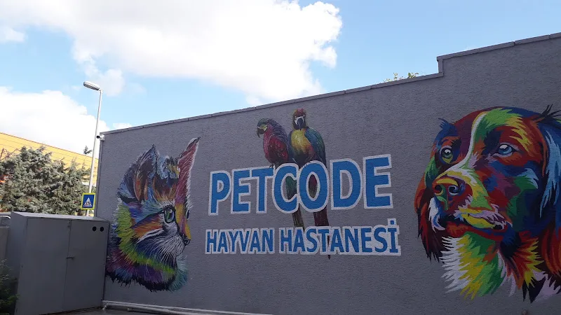 ANIMATE HAYVAN HASTANESİ foto 2