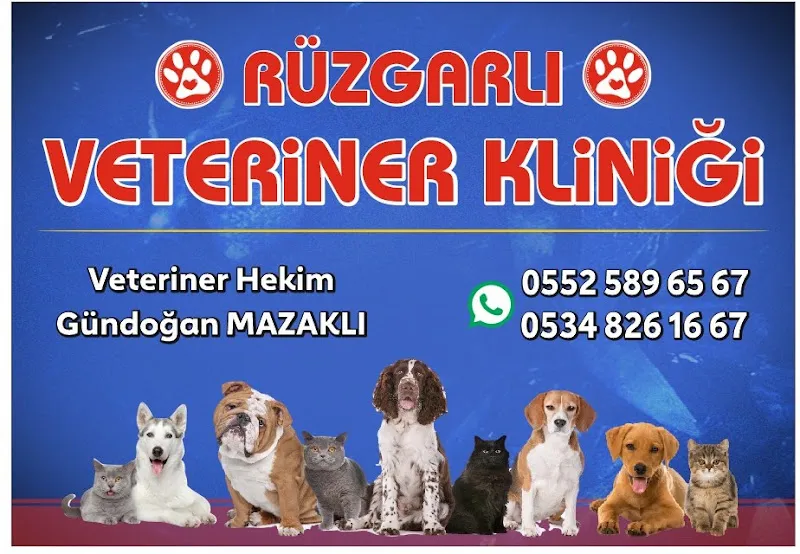 Rüzgarlı Veteriner Kliniği foto 2