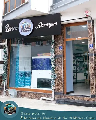 Lina Akvaryum Petshop