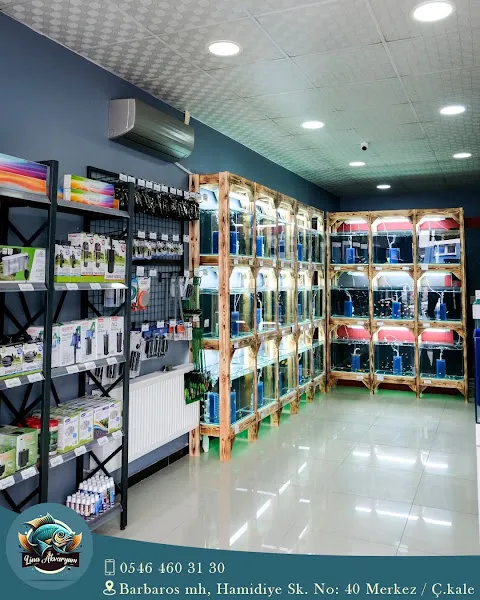 Lina Akvaryum Petshop foto 2