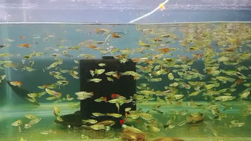 Denizli Poseidon Akvaryum foto 2