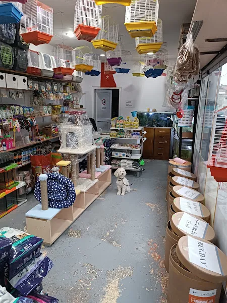EGE PETSHOP -İlkay Ege foto 2