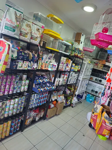 Mini pati petshop foto 2