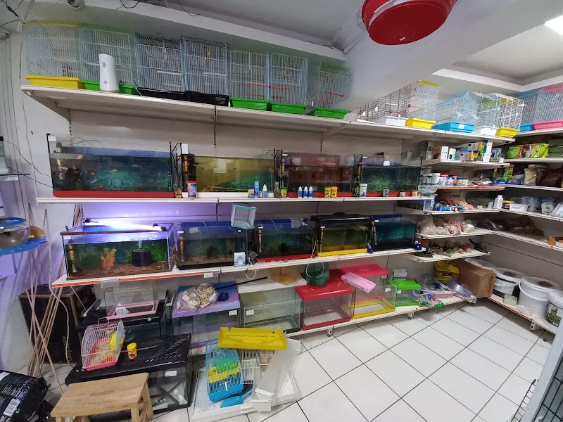 Pati Petshop foto 2
